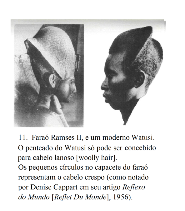 figura 11 farao e watusi 3 virada