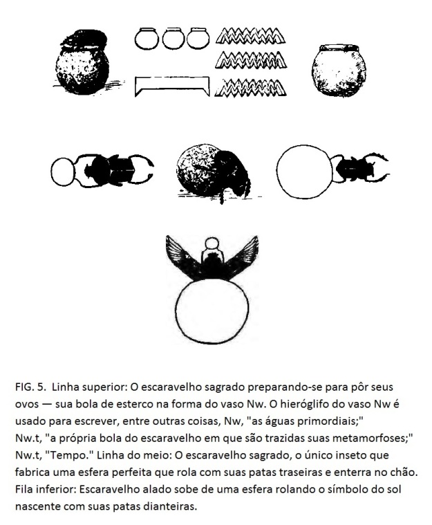 Fig. 5  Schwaller -   escaravelho -  vaso Nw.jpg